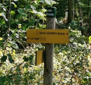 A VTT dans les Bois de La Ferté - Bruno - 3