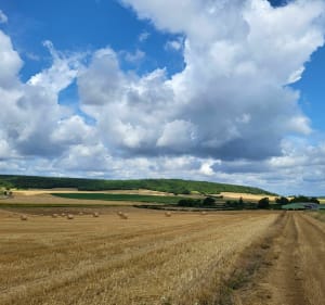 Entre Tannay et Amazy - Tannay - 2