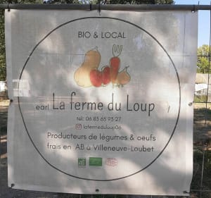 Promenade des Bugadières à Villeneuve-Loubet - Villeneuve-Loubet - 2