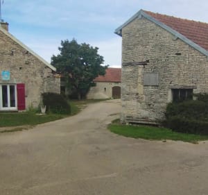 Balade VTT La Grange aux Moines plaines et forêts - Jauffrey - 3