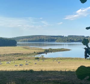 Autour du lac de Saint-Agnan - Saint-Agnan - 3