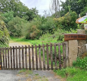 Balade Bannalécoise au départ Chapelle de la Véronique - Bannalec - 2