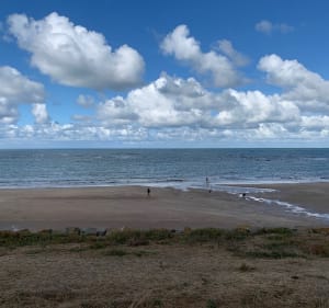 Des hauts de l’Aiguillon sur vie à la Normandelière - L'Aiguillon-sur-Vie - 2