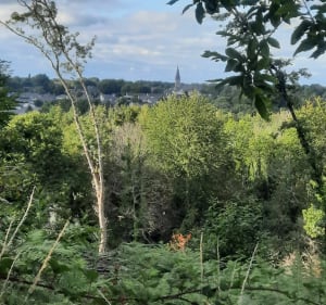 Balade dans le coeur de nos forêts du pays nantais - Vigneux-de-Bretagne - 2