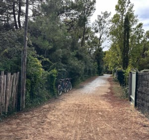 Entre Saint-Clément-des-Baleines et la Patache à vélo - Alain - 4