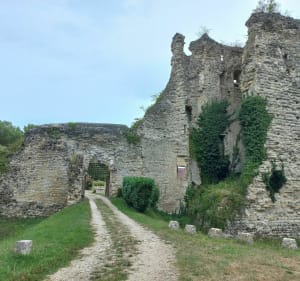 Balade dans les environs de Cuffy et le canal - Catherine - 3