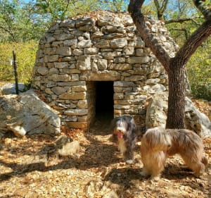 Sentier découverte de la grotte de la Cocalière - Courry - 4