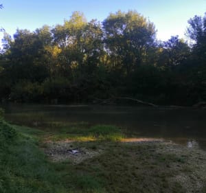 Fraîcheur entre Seine et canal - VERONIQUE - 2