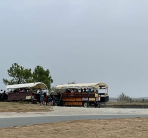 L'Île Madame - Nadine - 2