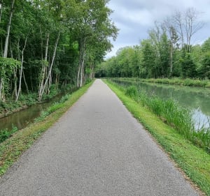 Balade entre Seine, vélo-voie et traversées de village à Payns - Payns - 2