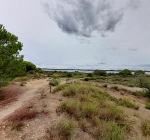 Tour de la pinède du Boucanet - Le Grau-du-Roi - 2