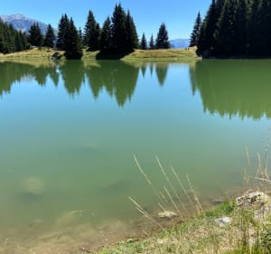 Les Perelles et le Lac de la Léchère par le refuge - Saint-François-Longchamp - 2