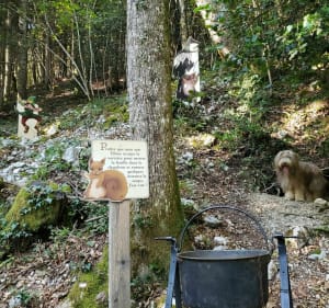 Sentier botanique de Filéas - Le Bourget-du-Lac - 2