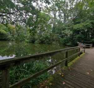 Parc départemental de Châteauneuf-sur-Loire - Châteauneuf-sur-Loire - 2