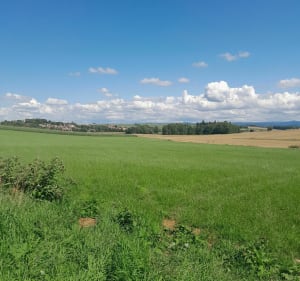 La Gaillarde, balade en campagne - Diane - 2