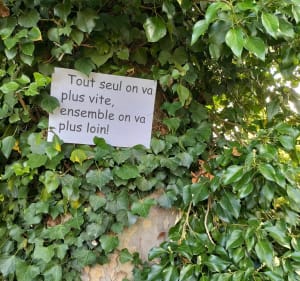 Le long du canal de Fourques-sur-Garonne - Fourques-sur-Garonne - 2