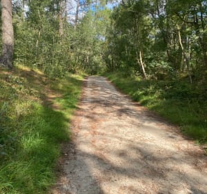 Randonnée à Ecault - Saint-Étienne-au-Mont - 2