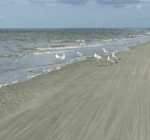 Plage de Sainte-Cécile - Camiers - 3