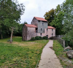 Belle randonnée VTT entre Aubigny et Nesmy - Aubigny-Les Clouzeaux - 4