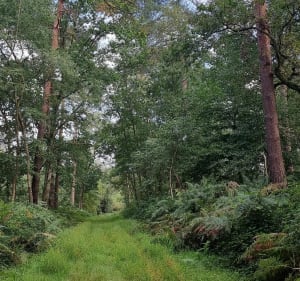 VTT dans la Forêt de Petit-Couronne depuis la Voûte - Petit-Couronne - 2