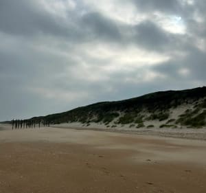 Randonnée sur le sentier de la réserve naturelle du Platier d'Oye - Oye-Plage - 2