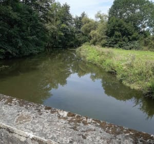 Sortie sur le canal facile et paisible à Châtillon-sur-Oise - Michel - 2