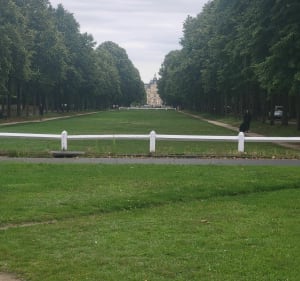Balade dans le parc de Maisons-laffitte - Saint-Germain-en-Laye - 2