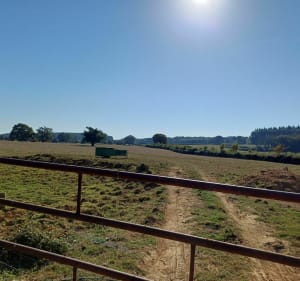 Marche pédestre à Baron par Bois de Pringues - Baron - 2