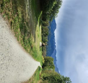 Balade dans la plaine : Chedde / Lac de Passy - Passy - 2