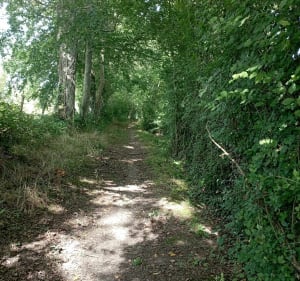 Balade en Normandie.                  Epinay sur odon . - Épinay-sur-Odon - 3