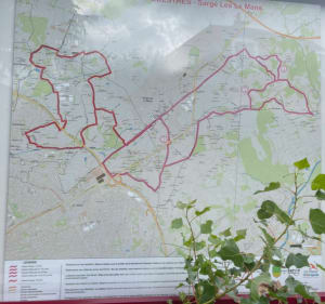 Balade entre le Villaret et Sargé-lès-le-Mans - Le Mans - 2