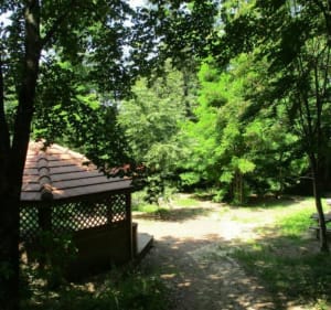 Rando VTT, Girancourt-Le-Roulon-Urimenil - Uzemain - 2