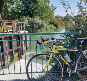 Balade entre forêt de la Hardt, canal et réserve naturelle - Camille - 3