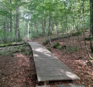Maison de la nature du Rothenbach depuis le col de Bramont - La Bresse - 2