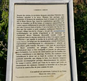 Étangs de Champforgeuil et Domaniale - Champforgeuil - 2