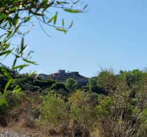 Boucle du Bau Rouge dans la forêt de Janas - La Seyne-sur-Mer - 2