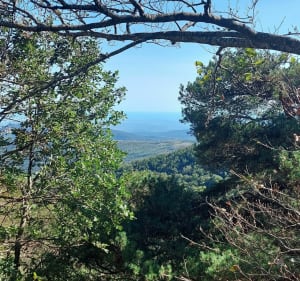 Col de Palomeres aux mines de Pinosa - La Bastide - 2