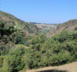 Balade sur les hauteurs de Prévinquières - Prévinquières - 3