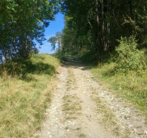 Jolie balade sur les hauts de Longefoy - Sophie - 3