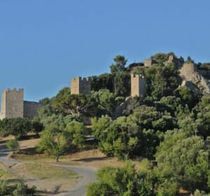 Marche du Fenouillet - La Crau - 2