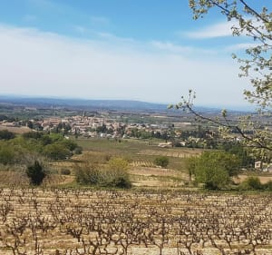 De Sablet à Séguret - Sablet - 2