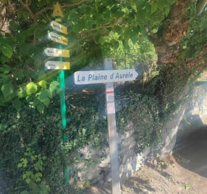 Vous êtes plutôt Grotte ou Musée ? - Patrice l'Ardèchois - 5