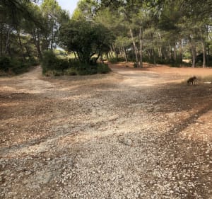 Balade entre moulin de Daudet et château de Montauban - Fontvieille - 2
