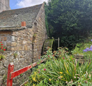 Tromelin et les moulins - Plougasnou - 2