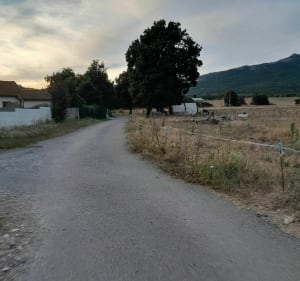 Single aux Aroncis - La Bâtie-Neuve - 2