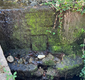 Laroque et deux fontaines et casots - Laroque-des-Albères - 2