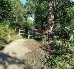 Petite balade en vélo de Chavagnes-en-Paillers à Les Brouzils - Chavagnes-en-Paillers - 2