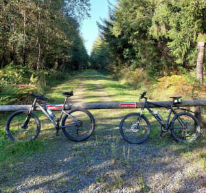 Petite balade en vélo de Chavagnes-en-Paillers à Les Brouzils - Dominique - 3