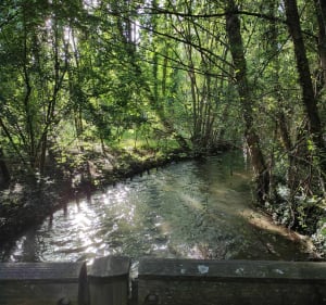 Parc du Moulin a Tan et la Vanne - Sens - 2