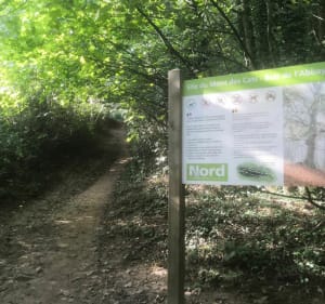 Circuit VTT dans les monts des Flandre et alentours - Bailleul - 2